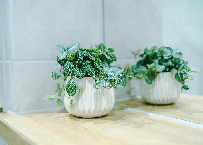 Stylish Centre With Terrace And Free Secure Parking Lejlighed Leeds (West Yorkshire)